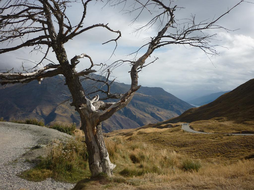 New_Zealand (480).JPG